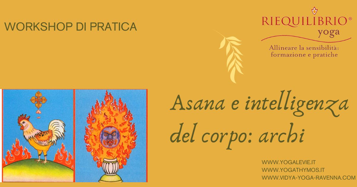 asana e intelligenza del corpo. Archi